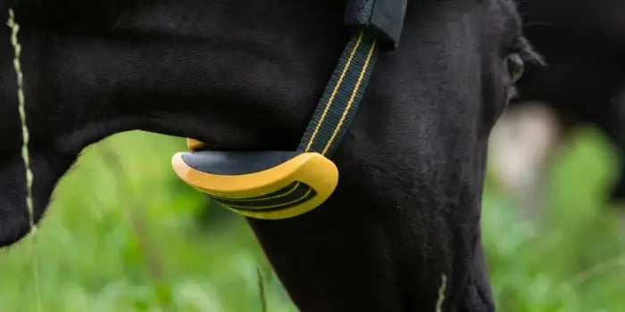 add-smarttags-later_700x350