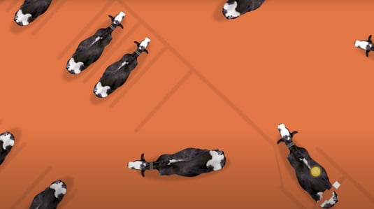 automatic-sorting_1240x695