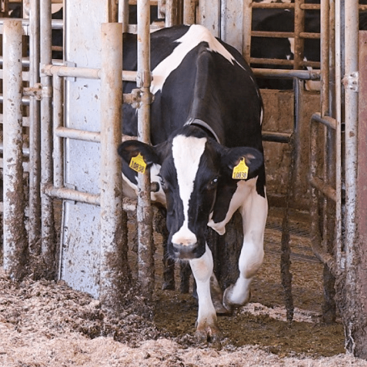 automation_smartsort