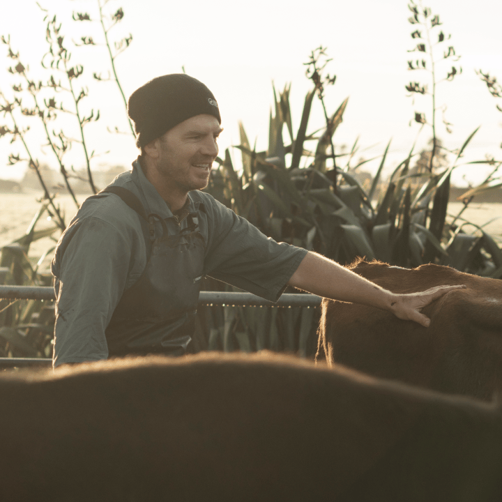 make-better-calls_720x720