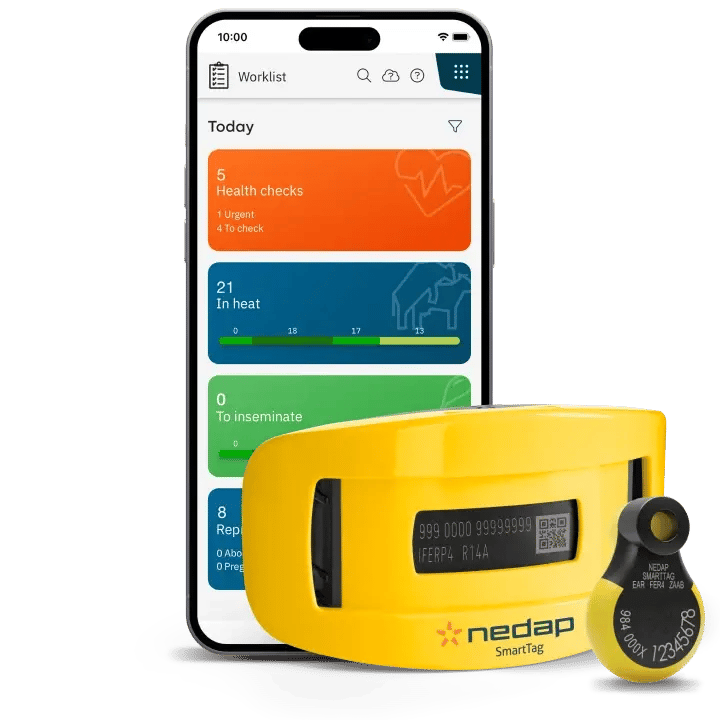 ready-to-upgrade_720x720