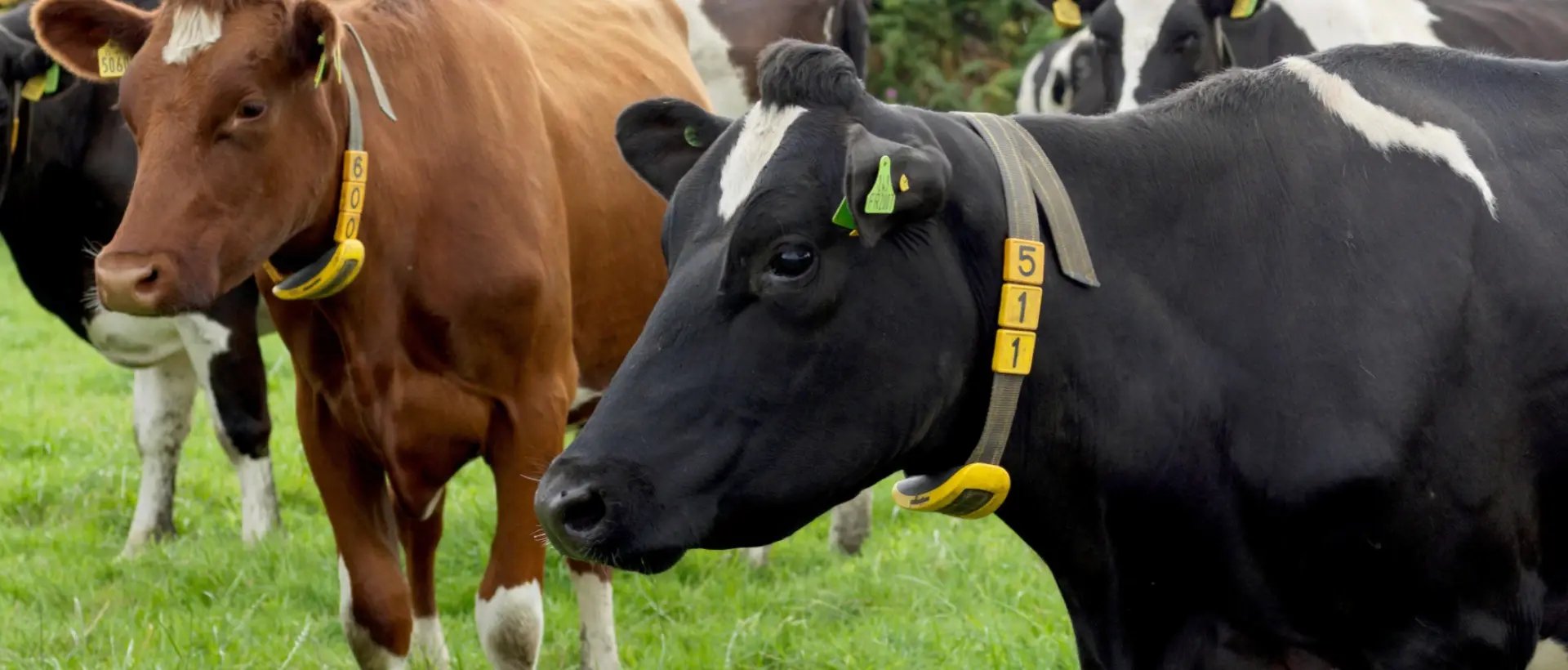 smart-tag-hero_1920x820