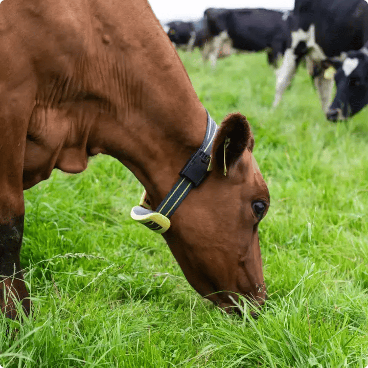 smartflow_increase_production-1