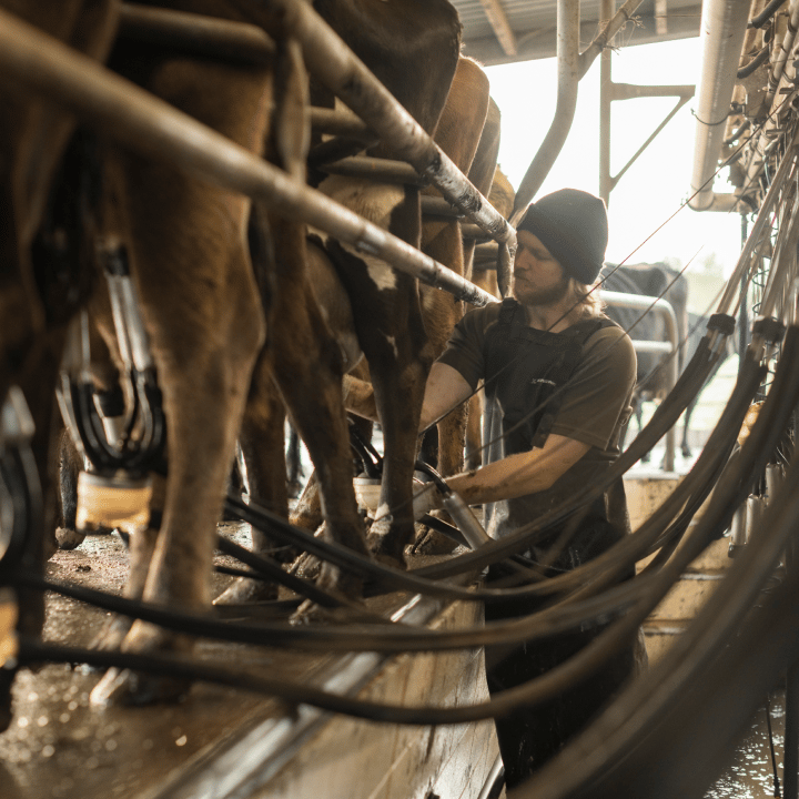 smartflow_more_efficient