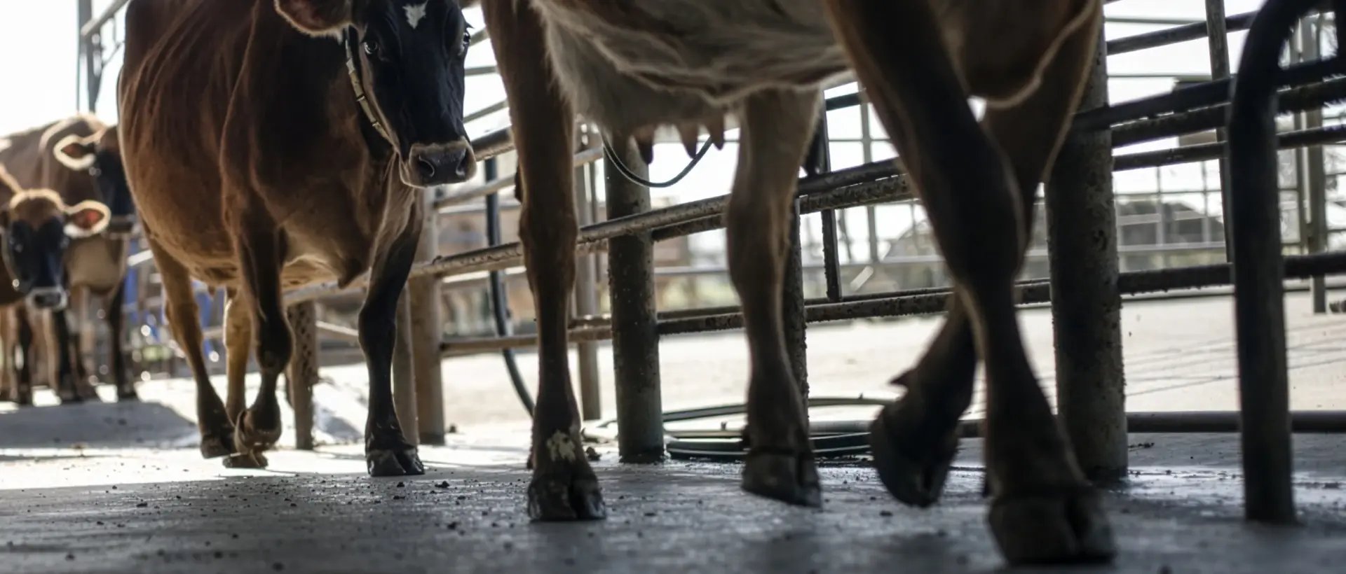 solutions-automation-hero_1920x820