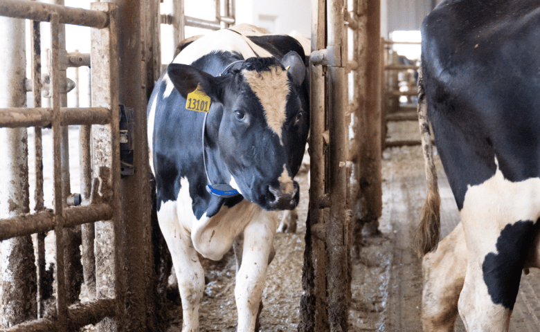 solutions-automation