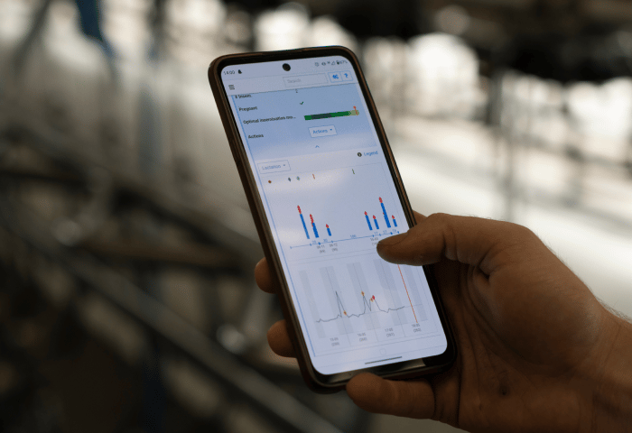 solutions-insights-nz_700x480