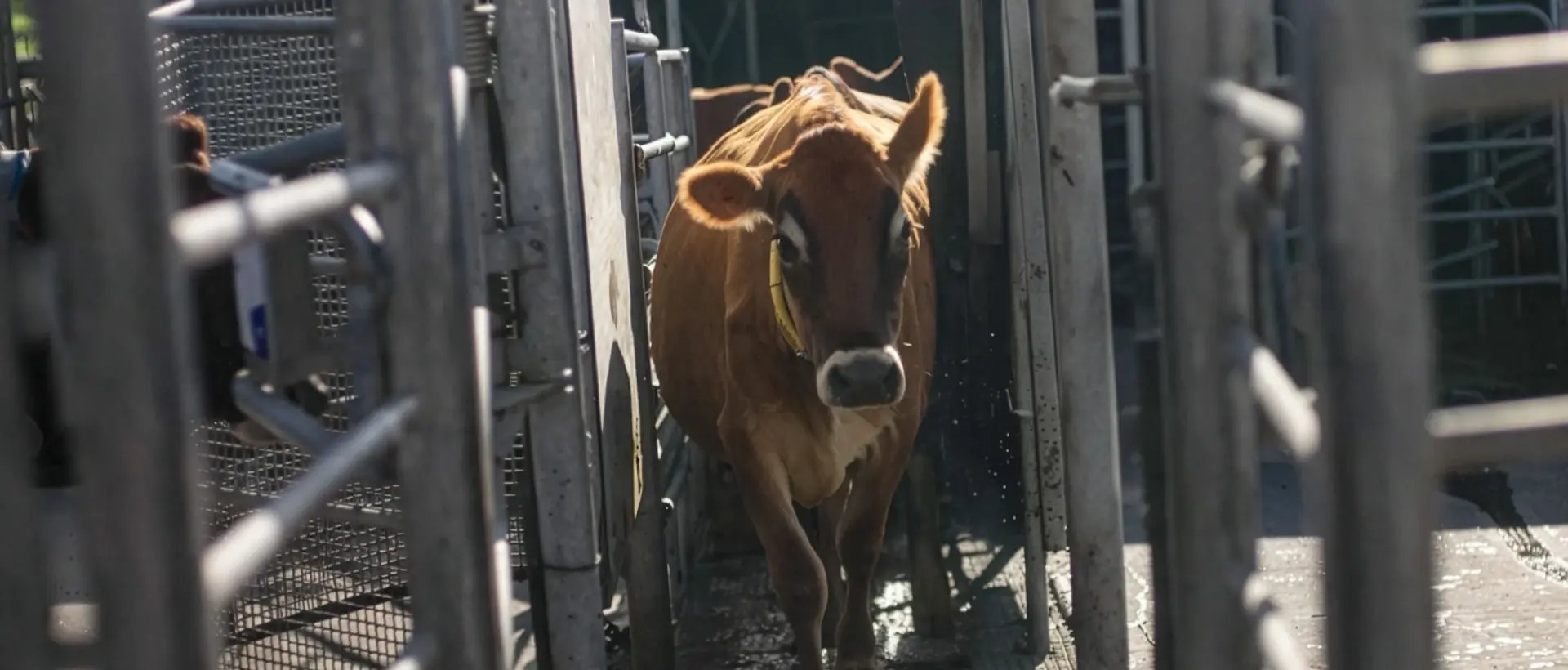 solutions-smartsort-hero_1920x820