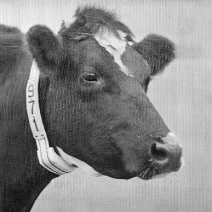 story_global_leader-1