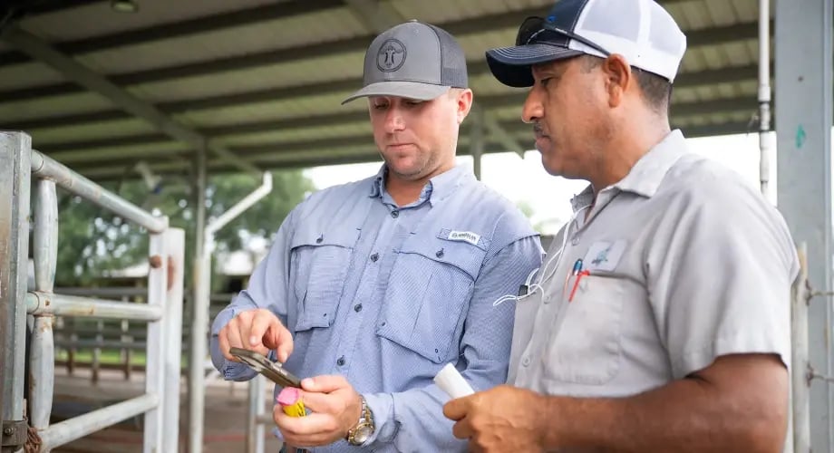 testimonial-sutton-rucks-video