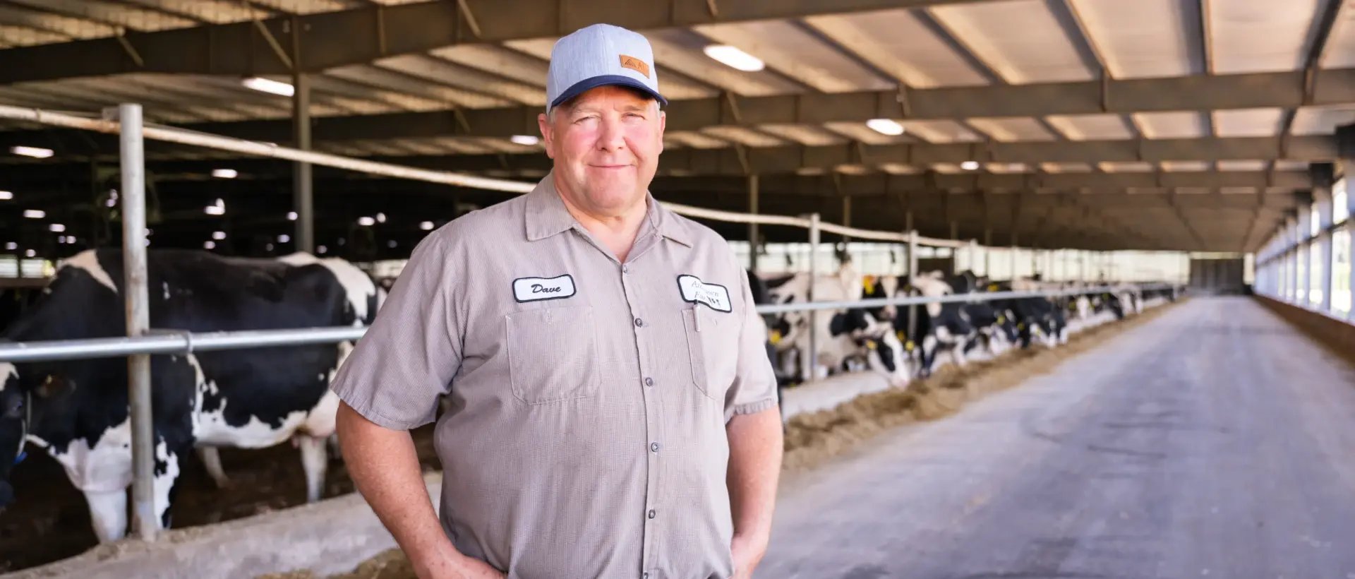 testimonial_alfalawn_Dave_Styer