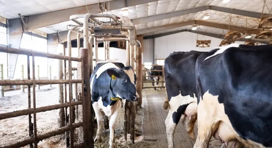 testimonial_alfalawn_SmartSort