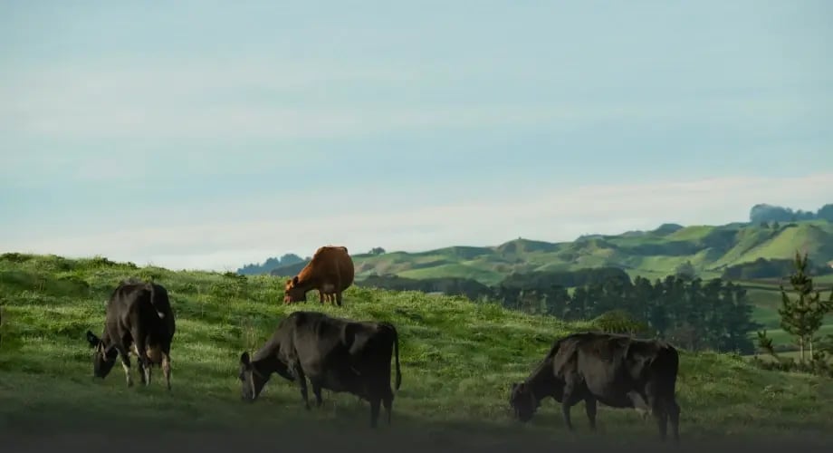 testimonial_ian_powell_health