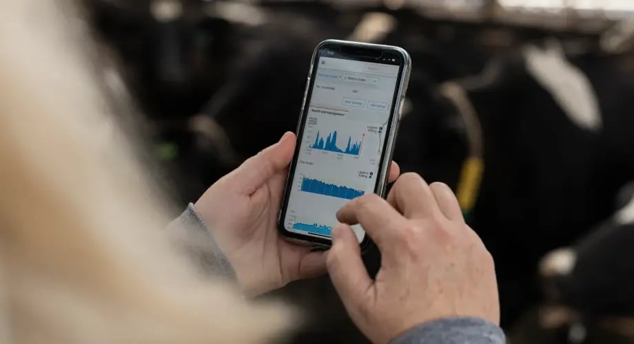 testimonial_jan_chad_winke_Insights