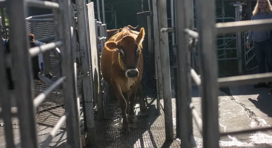 testimonial_jan_chad_winke_SmartSort1