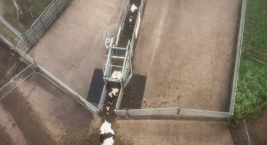 testimonial_jan_chad_winke_SmartSort2