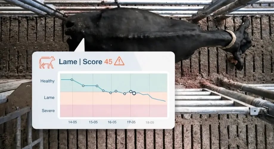 testimonial_joe_o_grady_video