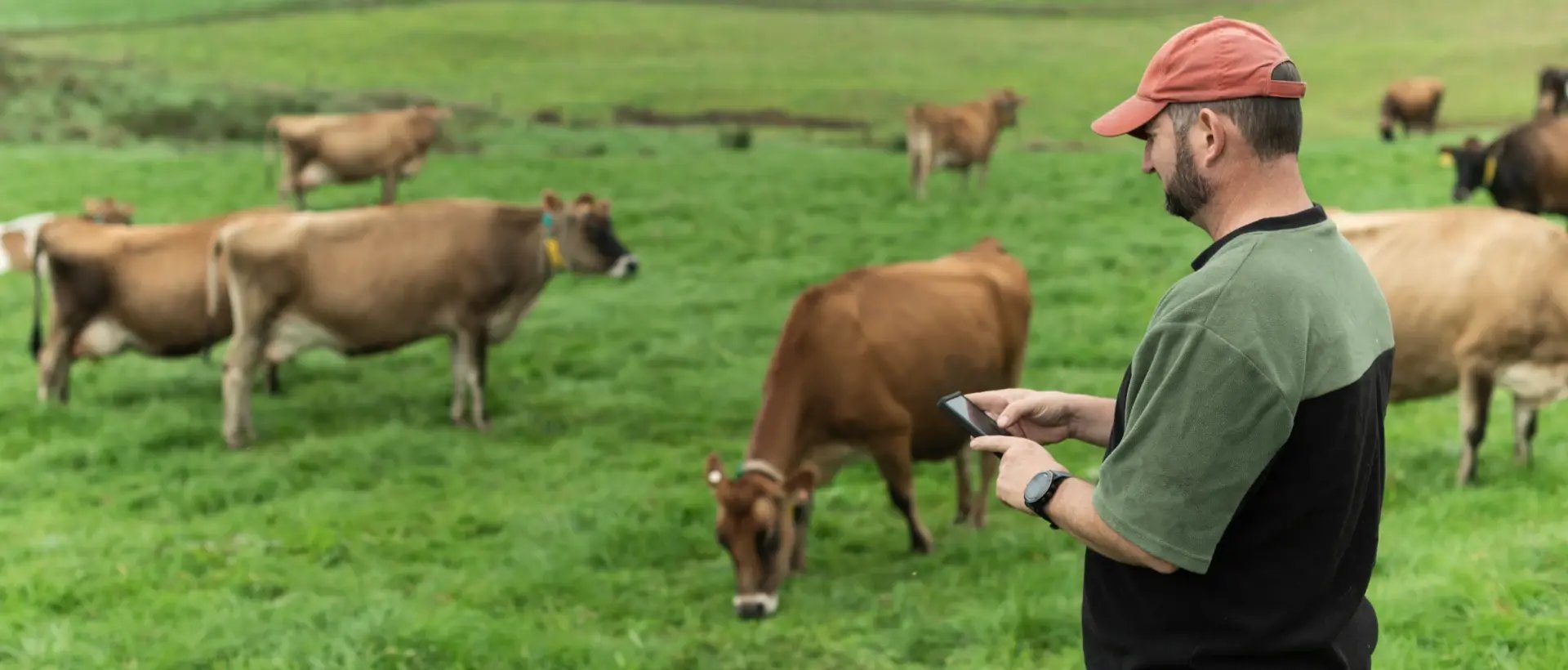 testimonials-hero_1920x820