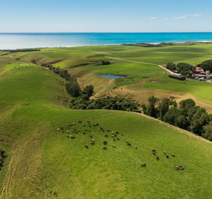 total-clarity_720x720