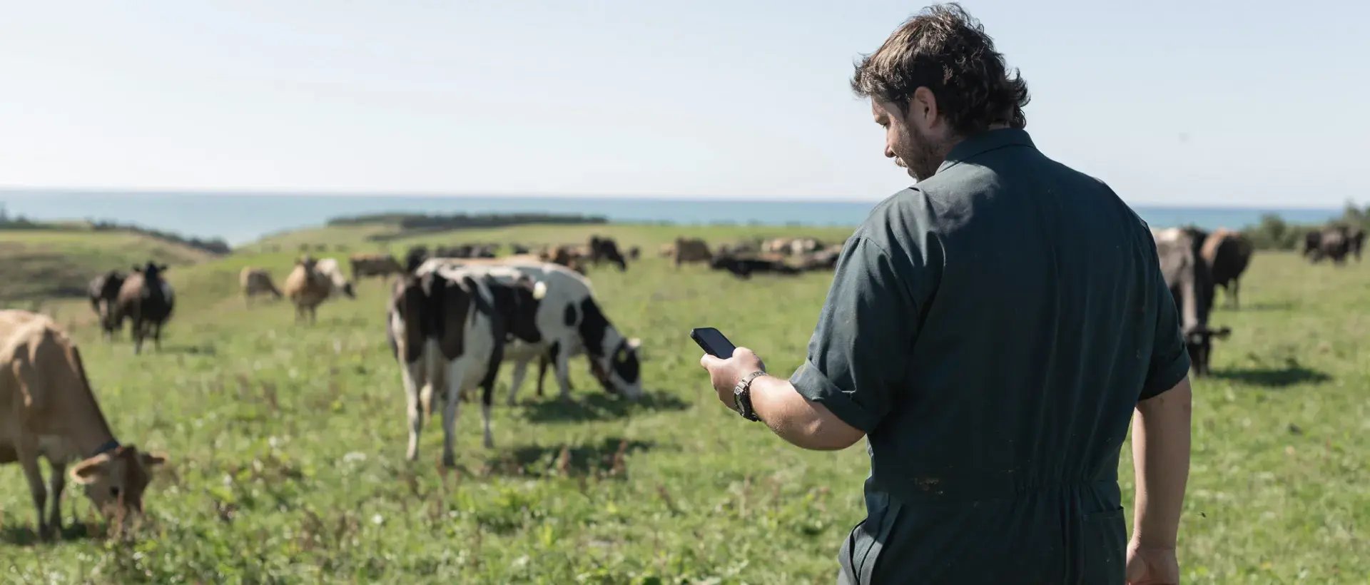 whole-herd_1920x820