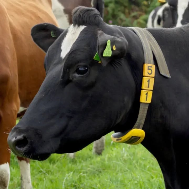 sensors_smarttags-NZ