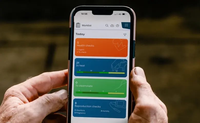 solutions-insights-NZ